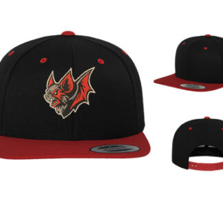 CLASSIC SNAPBACK 2-TONE 6089MT
