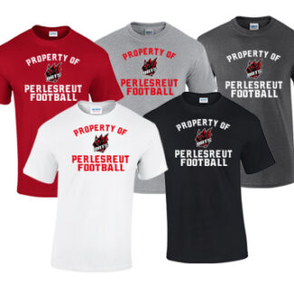 1Heavy Cotton™ Adult T-Shirt G5000 PRO