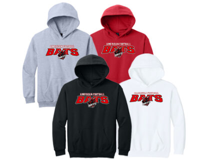 Softstyle®Youth Hoodie SF500B OLD