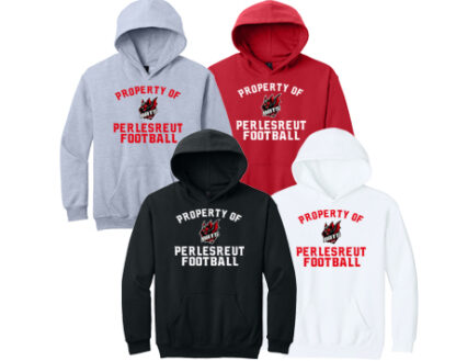 Softstyle®Youth Hoodie SF500B PRO